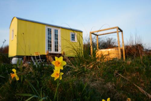 Primrose - last minute hotel in Tenby
