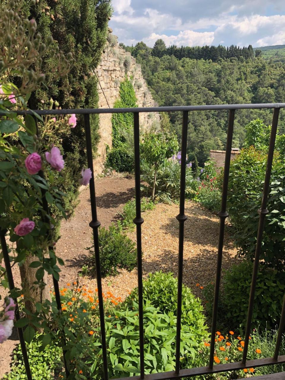 Campanina — Bonnieux — photo 5