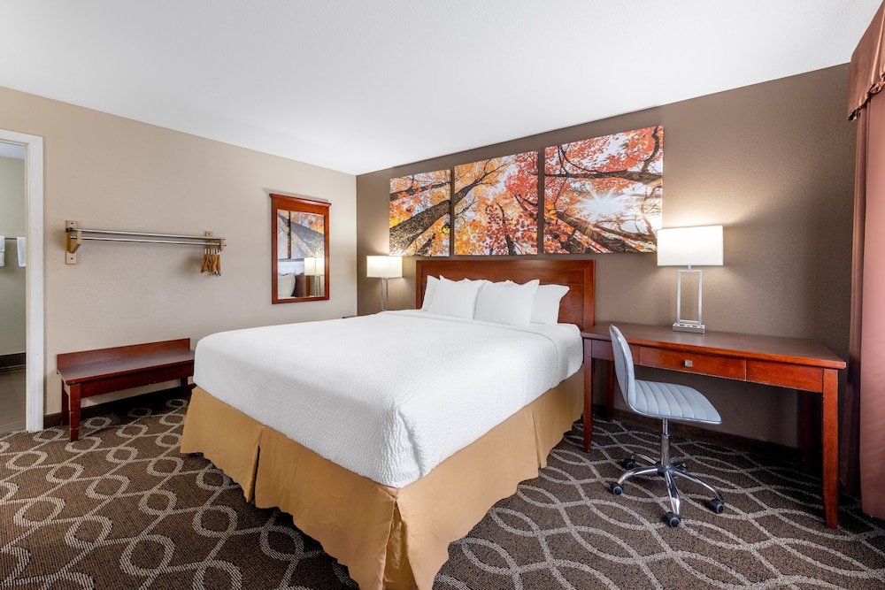 Days Inn by Wyndham St. Robert Waynesville Ft. Leonard Wood - photo 3