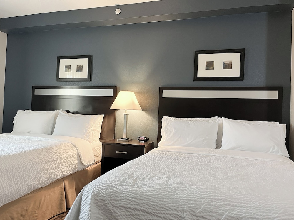 Holiday Inn Express & Suites Morton Peoria Area by IHG - photo 17