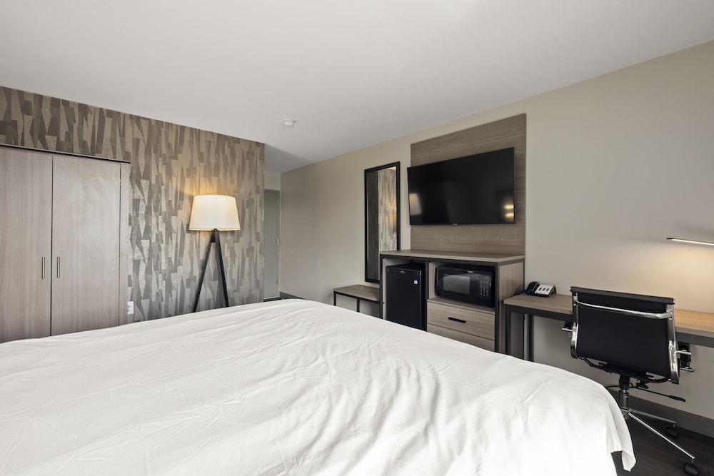 The Elmwood - photo 14