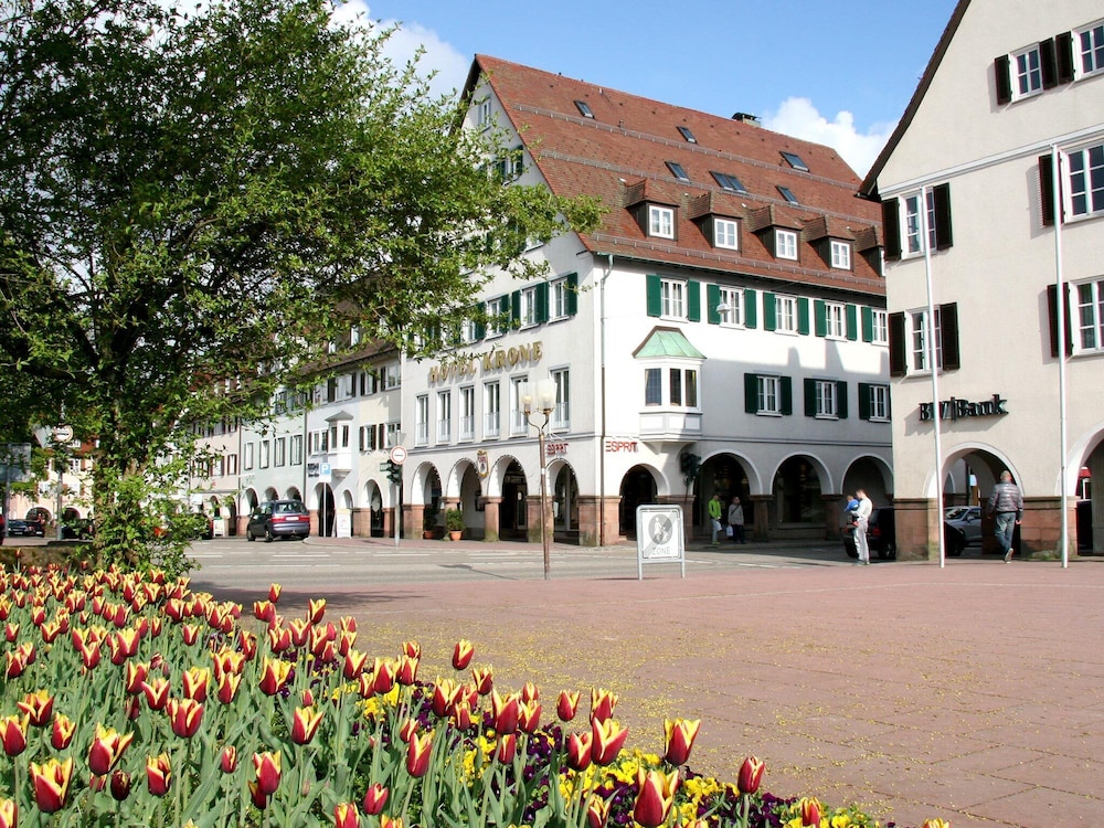 Hotel Krone — hotel in Freudenstadt