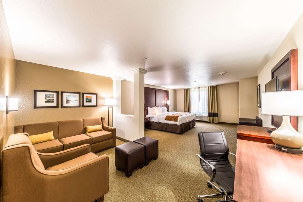 Comfort Suites Grand Prairie Arlington North - photo 23