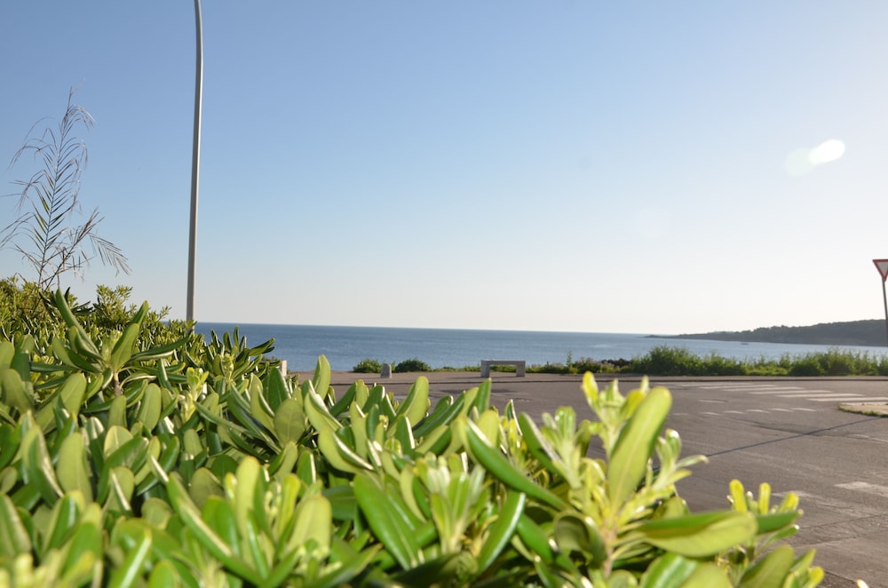 Appartamenti Fronte Mare Fertilia Faho gav01 Gav02