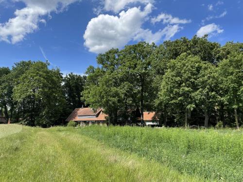 Atelier Tiedemann — Soltau — photo 3