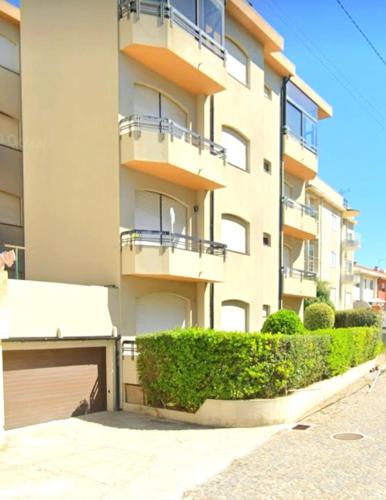 MindeloThePalm — Mindelo — photo 4