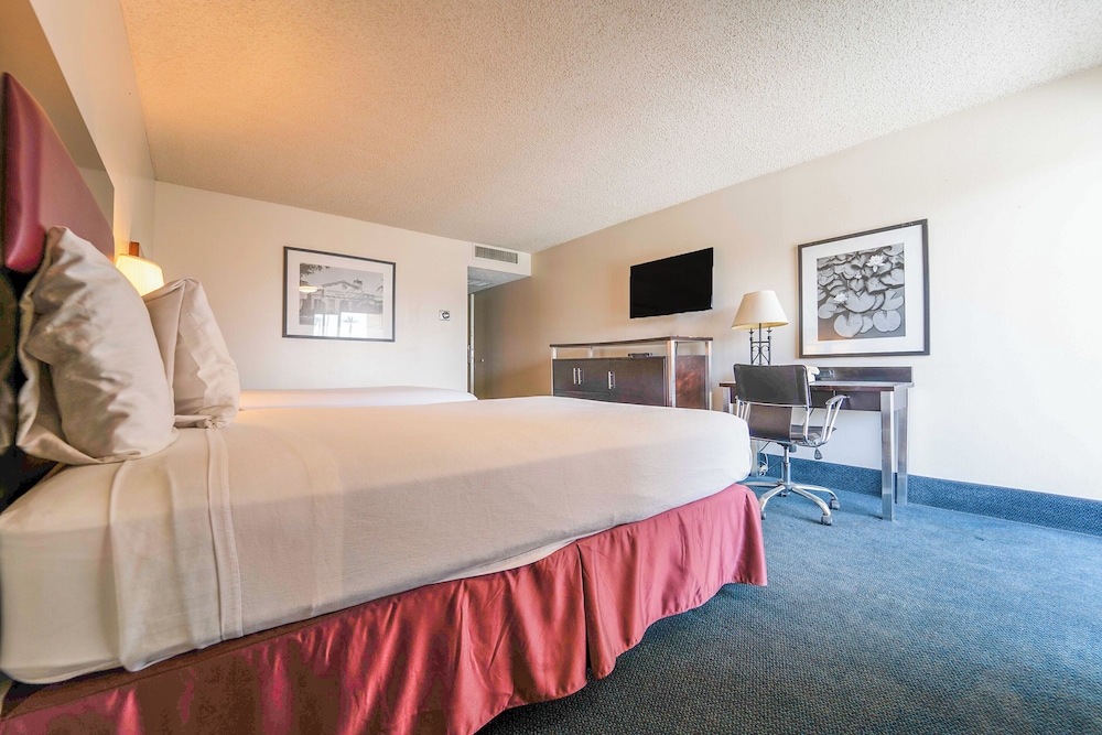 Royal Plaza Inn Indio - photo 46