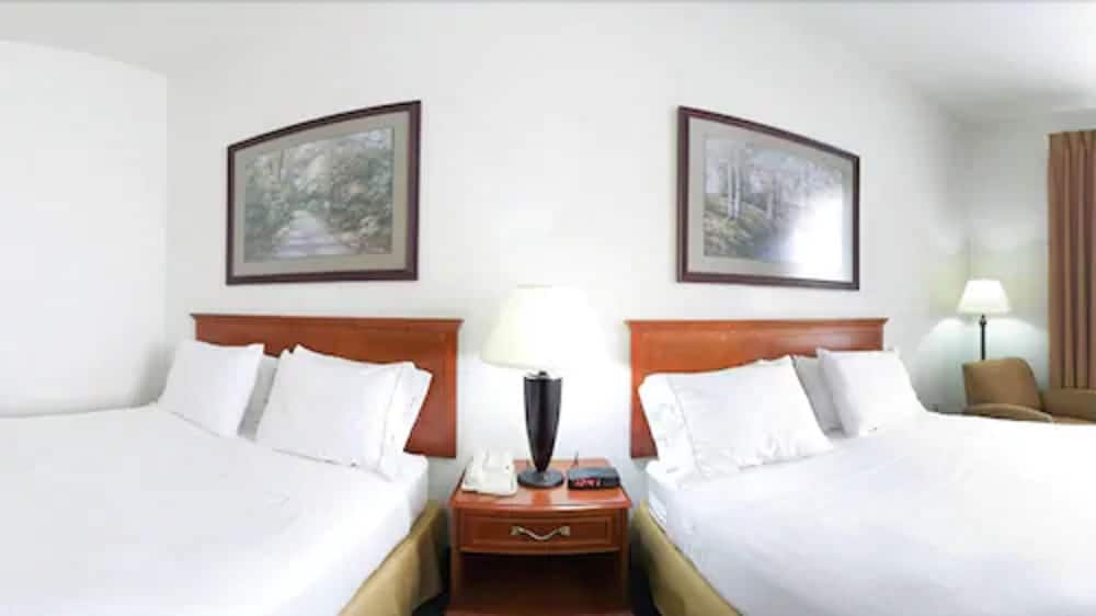 Holiday Inn Express Hotel & Suites Rockford Loves Park by IHG - photo 7
