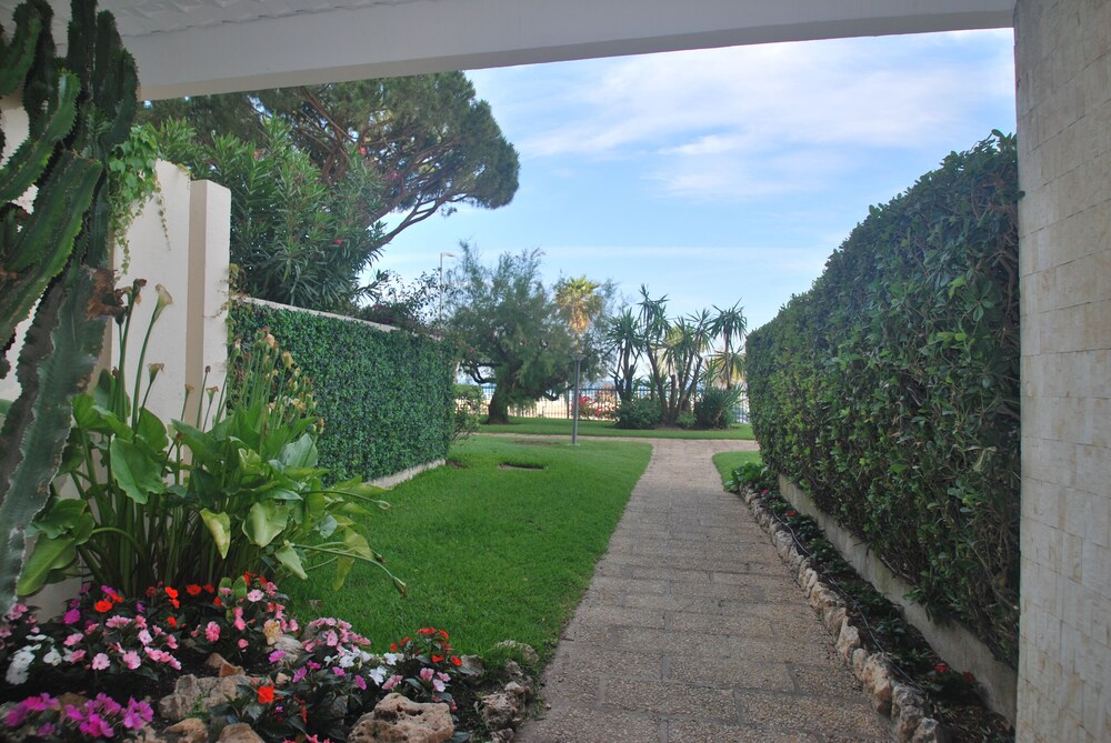 Lacour# 10 — Cannes — photo 2