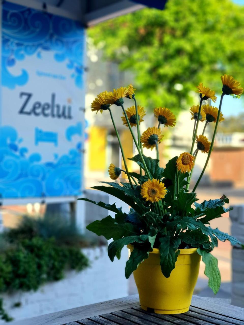 Zeelui in Egmond Aan Zee, Netherlands