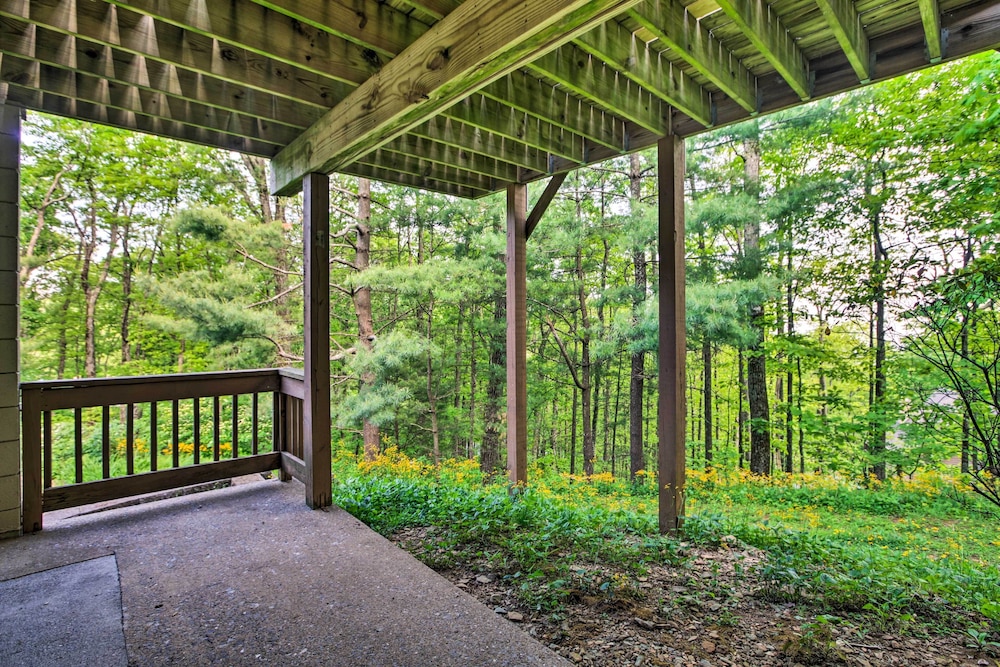 Cozy Wintergreen Resort Condo Walk To Ski Lifts - photo 11