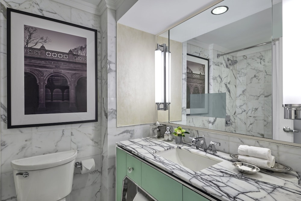 Loews Regency New York Hotel - photo 120