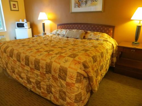 Cameo Motel Portland - photo 9