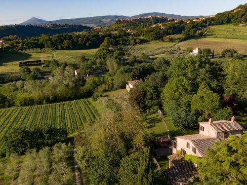 Poggio Etrusco sas di Sheldon Johns Pamela Kay - last minute hotel in Sant'albino