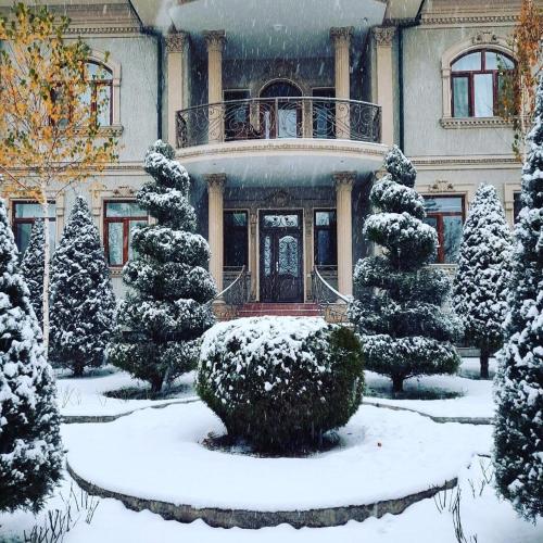 Mavie - carbon neutral hotel in Tashkent