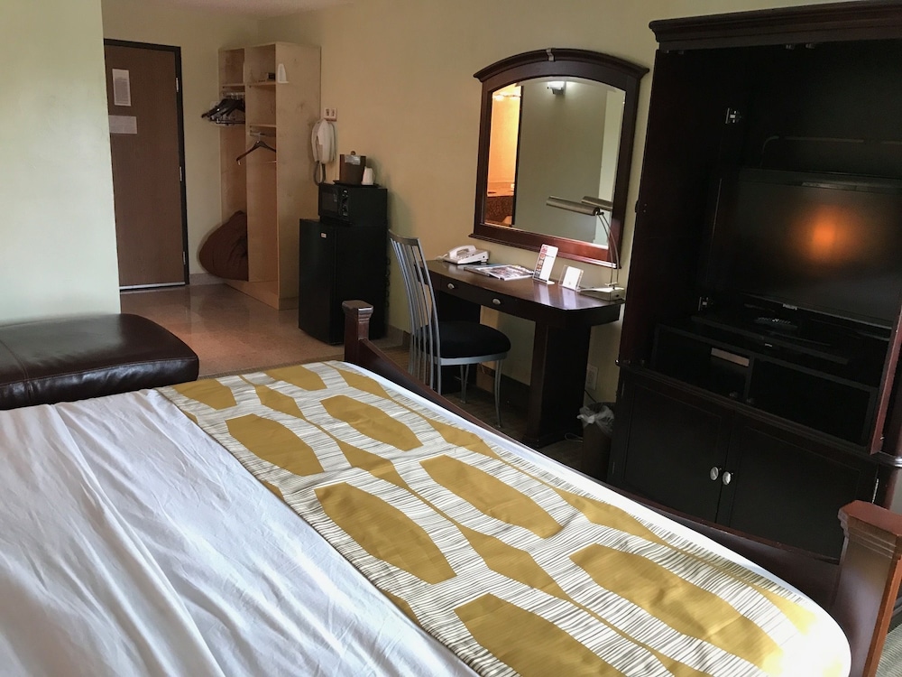 Marvin's Garden Inn - photo 7