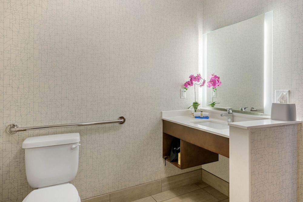 Holiday Inn Express & Suites Wildwood The Villages by IHG - photo 38