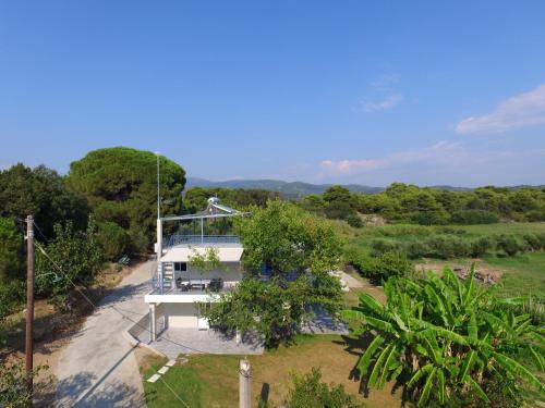 Ktima Bilionis — Zacharo — photo 5