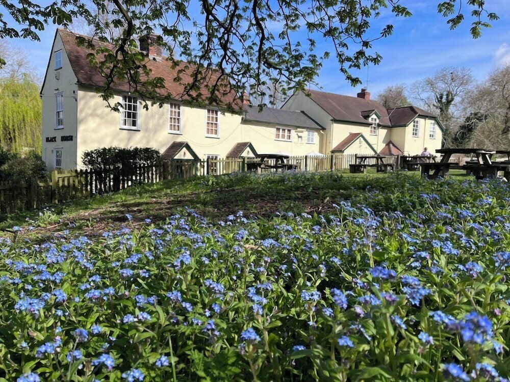 Black Horse in Buntingford, United Kingdom