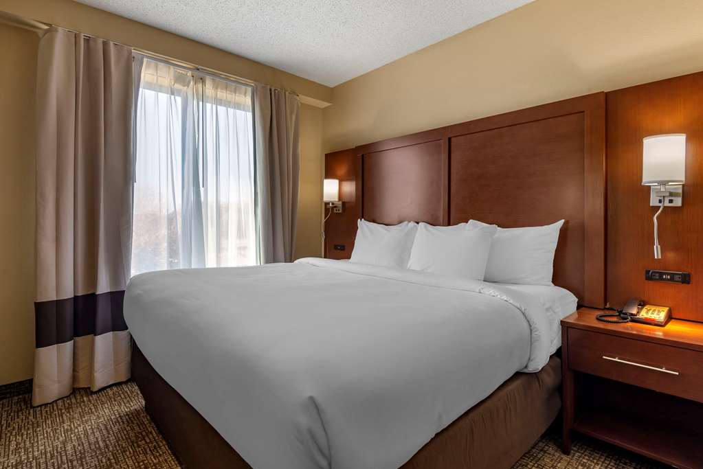 Comfort Suites Huntersville near Lake Norman - photo 32
