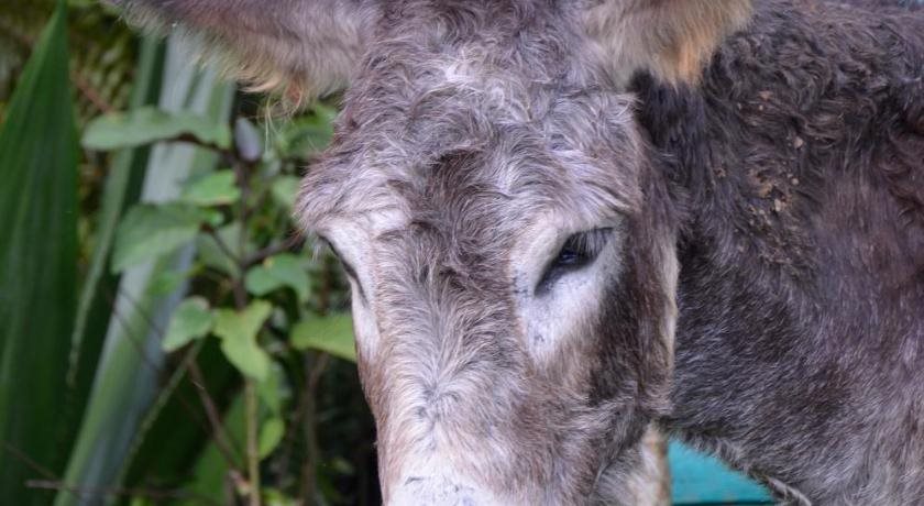 Fata Morgana in Las Terrenas, Dominican Republic
