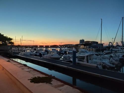 Les Flamants Roses in Port-La-Nouvelle, France