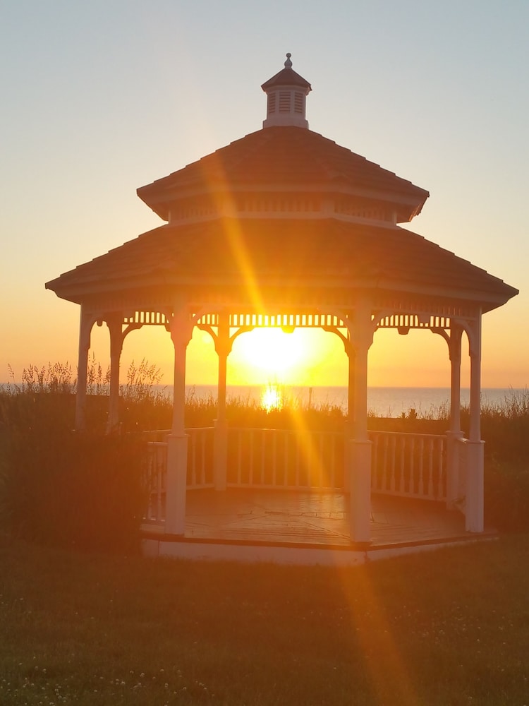 Illinois Beach Hotel - photo 23