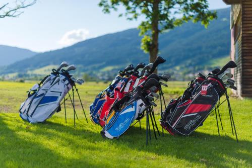 Hotel Zum Jungen Römer in Radstadt, Austria