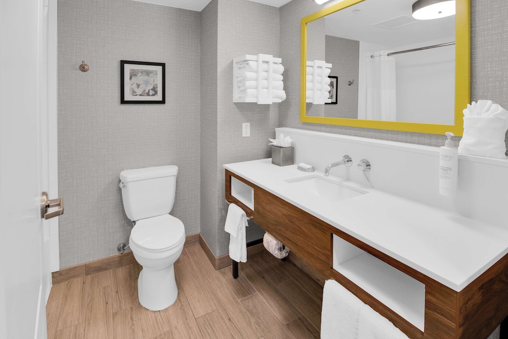 Hampton Inn & Suites Sarasota Bradenton Airport FL - photo 59