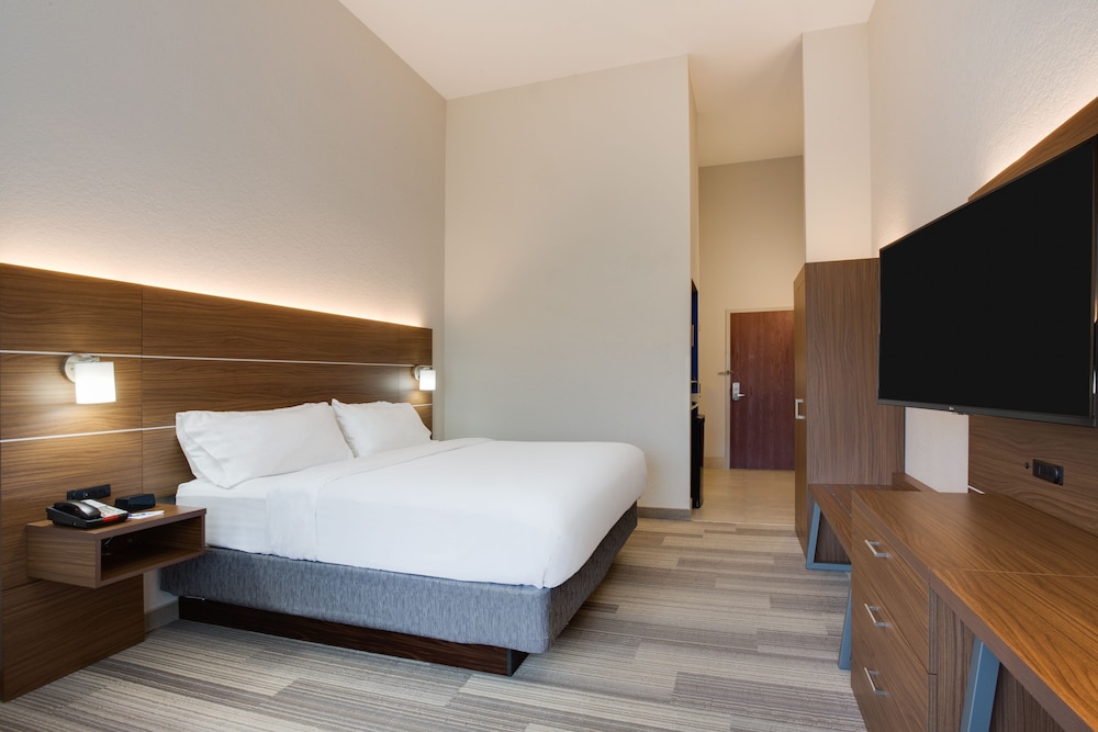 Holiday Inn Express Hotel & Suites Tampa Fairgrounds Casino by IHG - photo 19