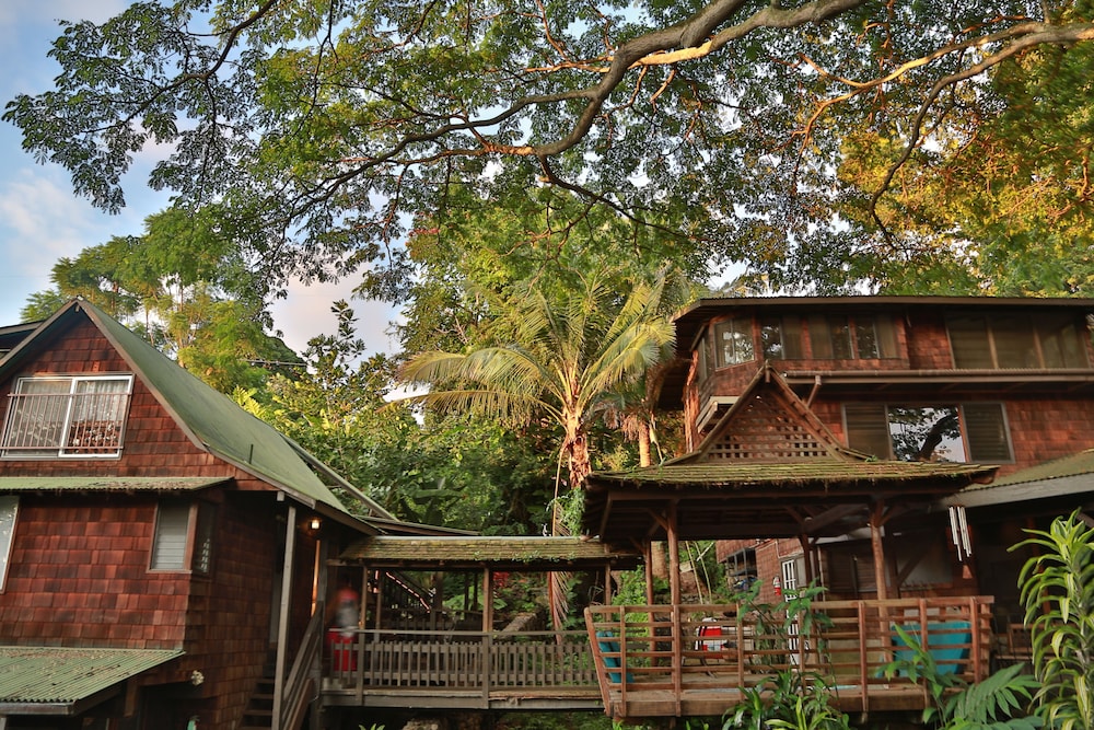 Hale Maluhia Country Inn - photo 46