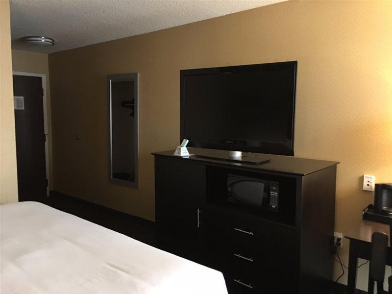 Wyndham Garden Sterling Heights - photo 7