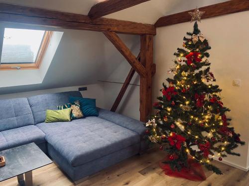Apartmán Danuše — Ceska Lipa — photo 3