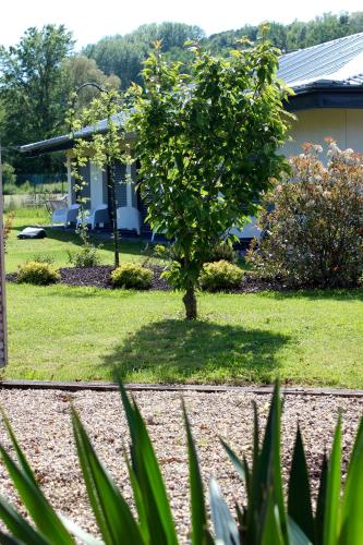 Gaïa Café pet-friendly hotel Nivolas-Vermelle