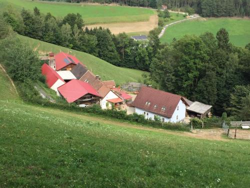 Haflingerhof Luef — Bad Schoenau — photo 2