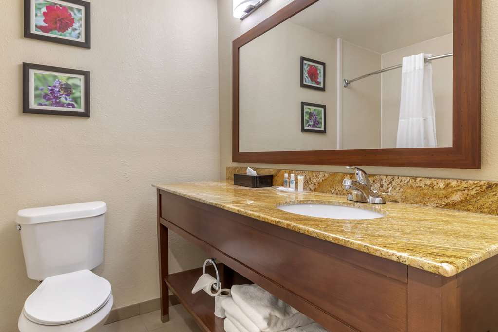 Comfort Inn & Suites Temple Medical Center - photo 36
