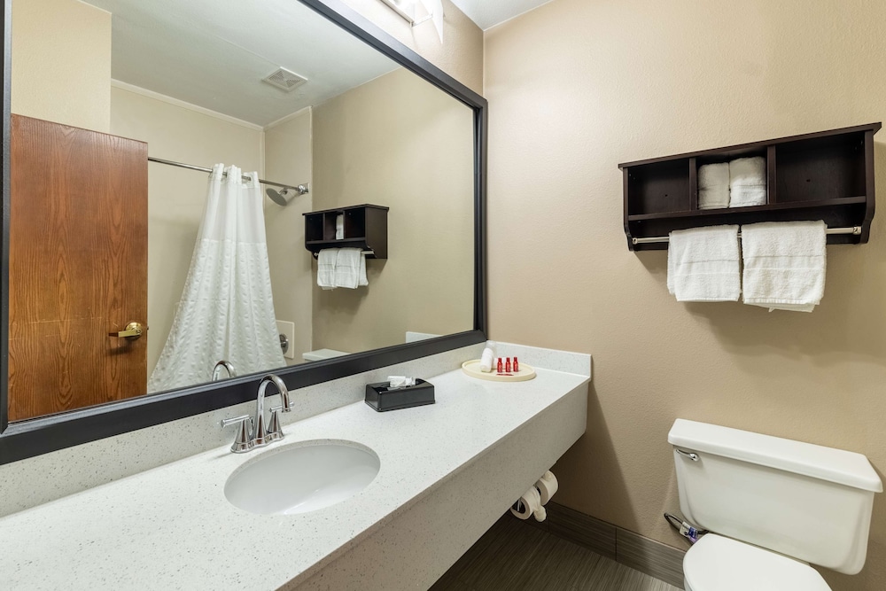 Comfort Suites Plano East Richardson - photo 40