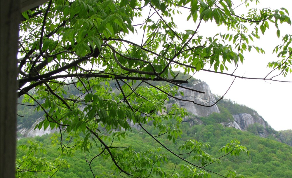 The Chimney Rock Inn & Cottages - photo 136