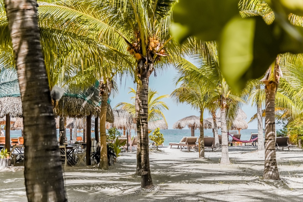 Zomay Beachfront Holbox in Isla Holbox, Mexico