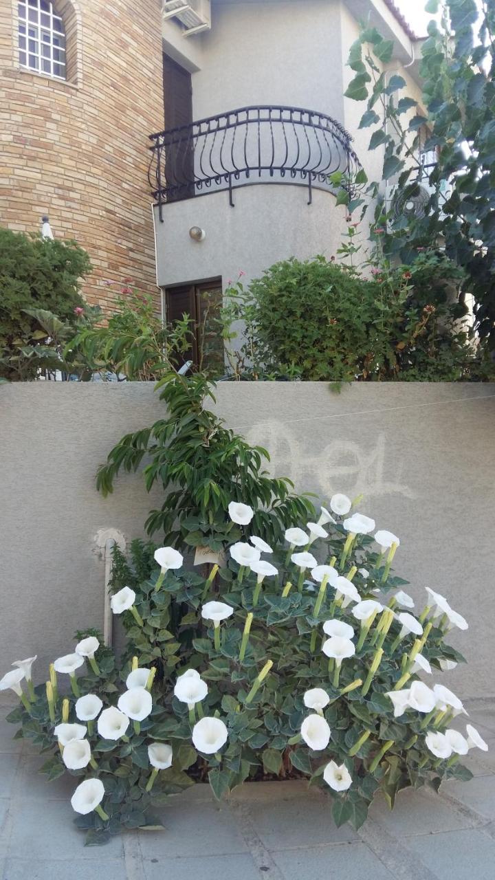 Nikola’s House