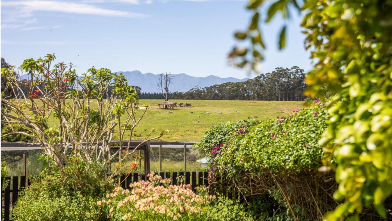 Elephant View Homestead in Plettenberg Bay, South Africa