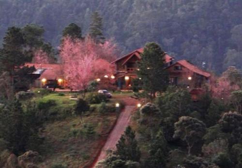 Pinot noir - last minute hotel in Unknown City