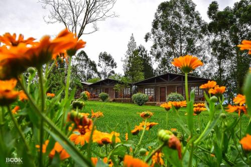 Hotel Las Azaleas — hotel in Jardin America