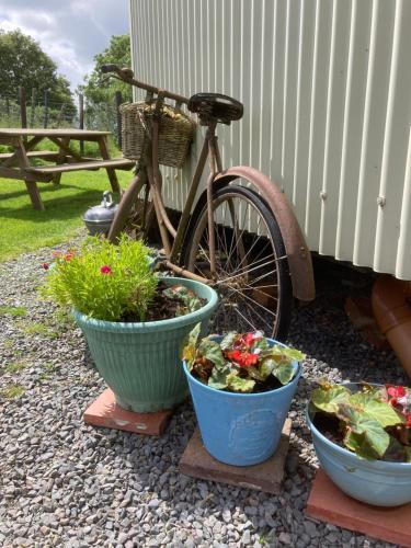 The Shepherds Hut — Annahilt — photo 2