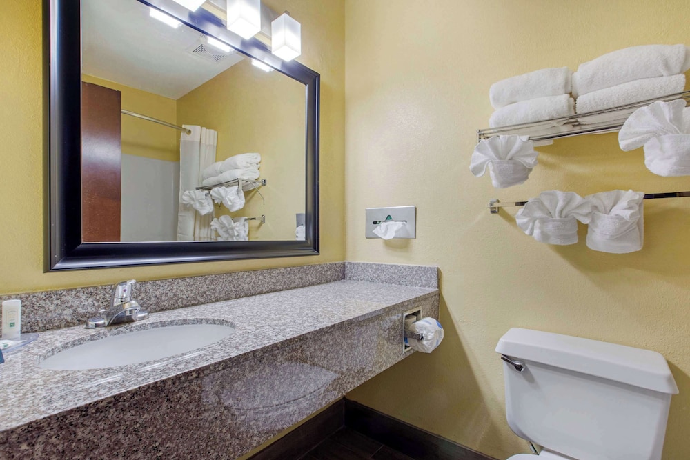 Quality Inn Williamston - photo 35