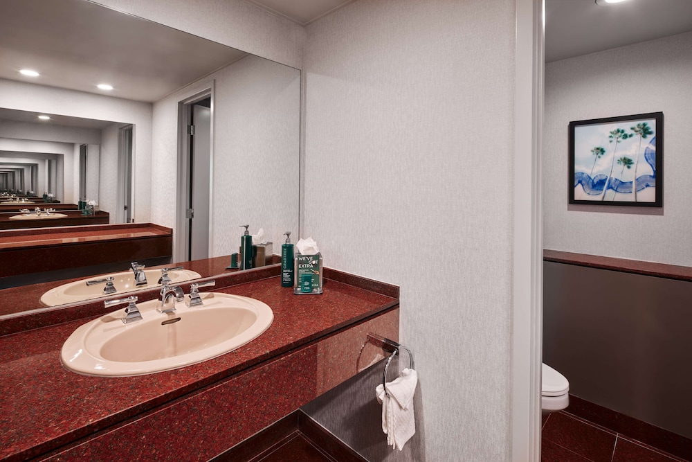 Hotel Fera Anaheim a DoubleTree by Hilton - photo 23