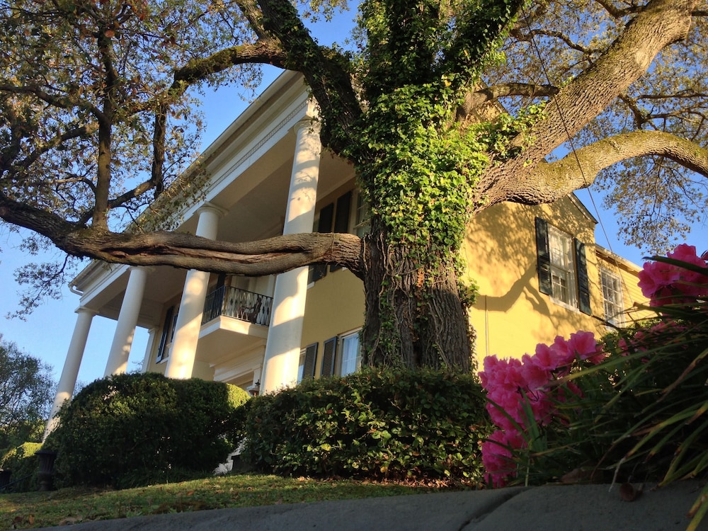 Anchuca Historic Mansion & Inn - photo 118