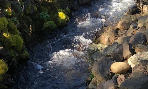 The Waterfront at Potlatch - photo 14