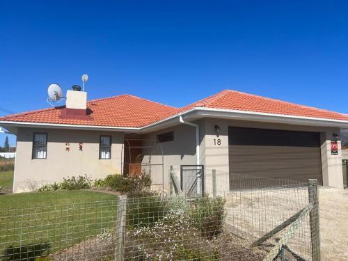 Laid Back Tortoise in Hermanus, South Africa