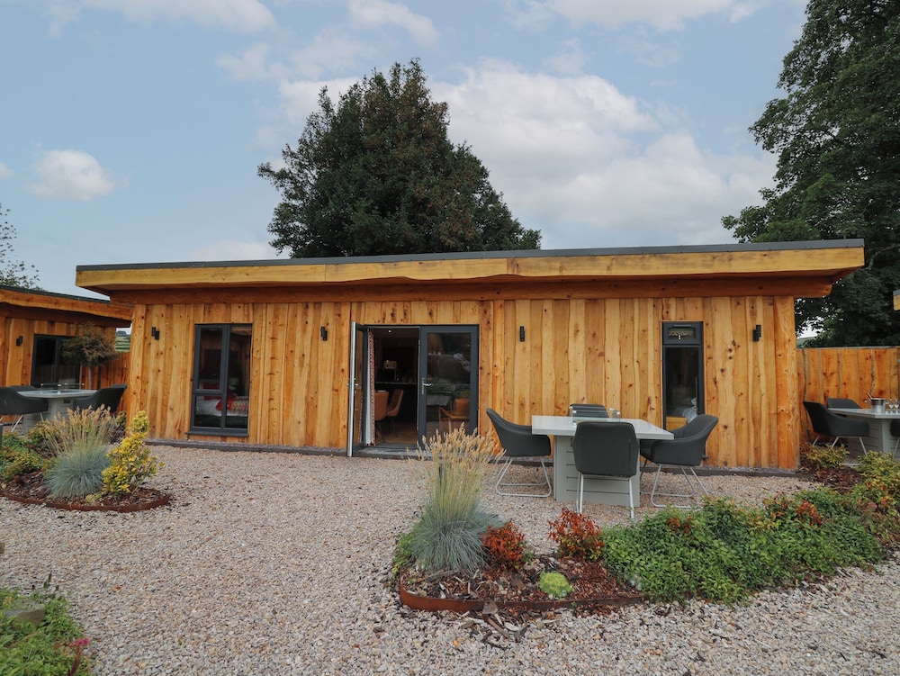 Fioled in Welshpool, United Kingdom